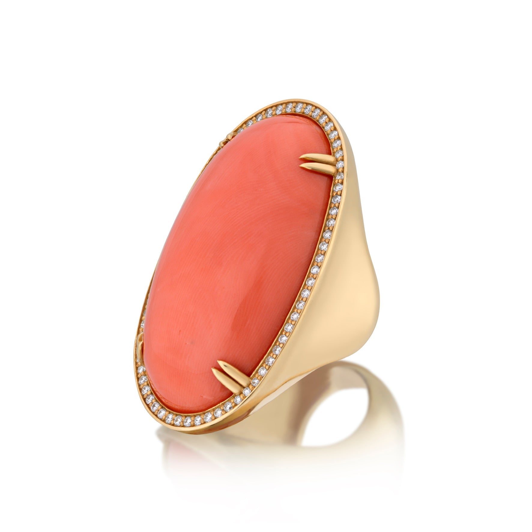 New Arrivals | Ashleigh Branstetter® 